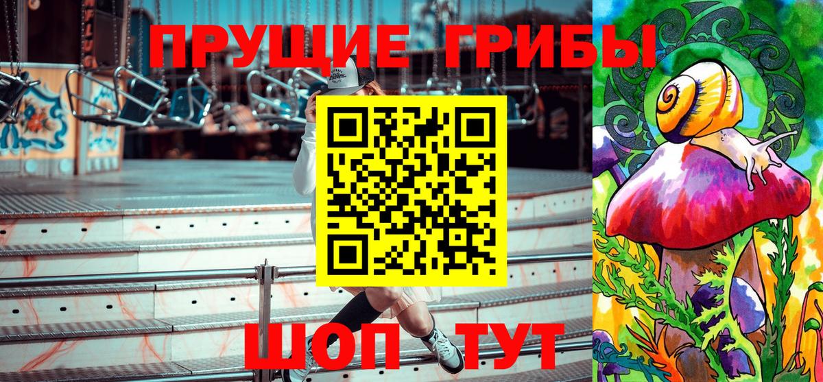 Гудермес  Галлюциногенные грибы Psilocybe  Вход с VPN 